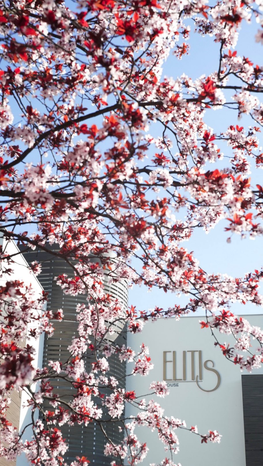 E’ già primavera in Elitis House🌸
📍 via Dante 22, Nova Milanese (MB)
📞 0362 1637582
✉️ info@elitishouse.it
#spa #centrobenessere #milano #elitishouse #monza #monzabrianza #doveviaggi #spamilano