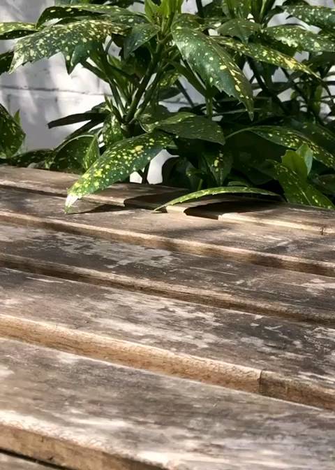 Our nitro cold brew is back ☀️☀️☀️