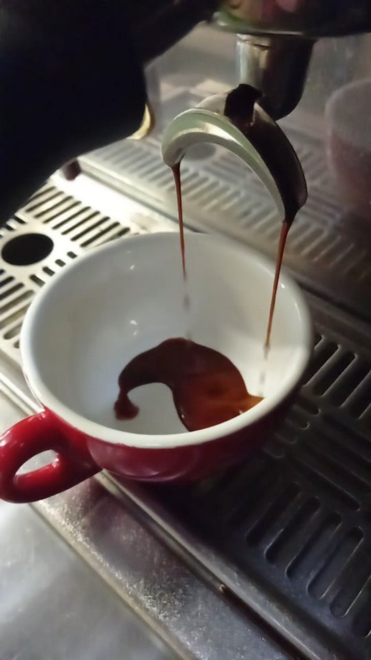 Just a thing of beauty š
@lamarzocco pushing out excellent coffee. Our Gold Award winning Tribal Blend.
.
.
.
#coffee #funwithmilk #latteart #latte #Coffeesnob #practisemakesperfect #lattewave #doubleshot #pretty #tasteadventure #perfectenschlag #blackgold #dailycoffee #wakeupjuice #terroircoffeeroasters #coffeeroasters #microroaster #capetown