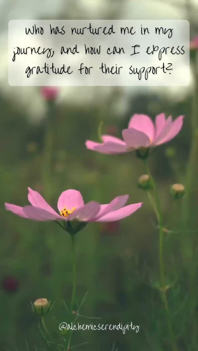 The first support most of us ever know is a mother—or the idea of one. Someone who holds us before we understand words. Who sees us before we know who we are. Who are there throughout the journey of our lives for as long as they can be.
But not all mothers are the ones who raised us. In the village culture, there’s so many more who give the same nurturing and loving energy in different ways. Sometimes, it’s the friend who saw your truth when you couldn’t speak it and encouraged you to be brave. An aunt or grandmother who showed up without needing to be asked just to hold you and love you. A soul who offered you safety, softness, and space to just be who you are with no mask, agenda or motive.
Their love has been like soil—rich, steady, and often unseen. It’s in their presence that we’ve found the courage to grow in our own way.
And now, as the Flower Moon rises, we’re reminded that blooming doesn’t happen alone. It happens because of every soul who’s ever poured into us, even when we didn’t yet know we were becoming. The ones who believed we could be greater than we ever knew and was willing to help us pick through the weeds.
As we near this blessed time—a time of blooming, of becoming and of being seen for who we are—it feels right to pause and ask:
Who has nurtured me in my journey, and how can I express gratitude for their support?
Let this be a day of remembrance, of honoring, and of quietly blooming in the presence of those who’ve helped us grow. Say a thank you, drop off some flowers or offer a hug filled with every ounce of gratitude that you don’t know how to say out loud.
Everyone’s journey on this earth is different and everyone’s role changes and flows so take this time, in this present moment and be thankful for those who helped you rise.
#InnerAlchemyNotes
#HeldInLove
#RootsAndPetals
#FlowerMoonReflections
#LineageOfCare