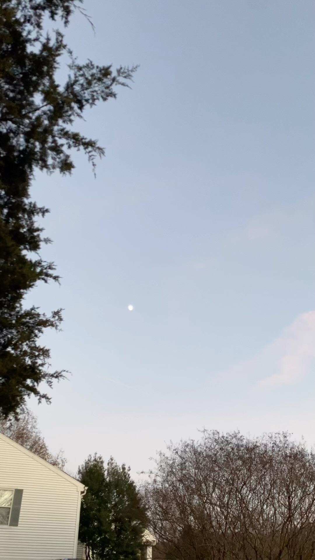 Grateful for this gift. #blazerfarm