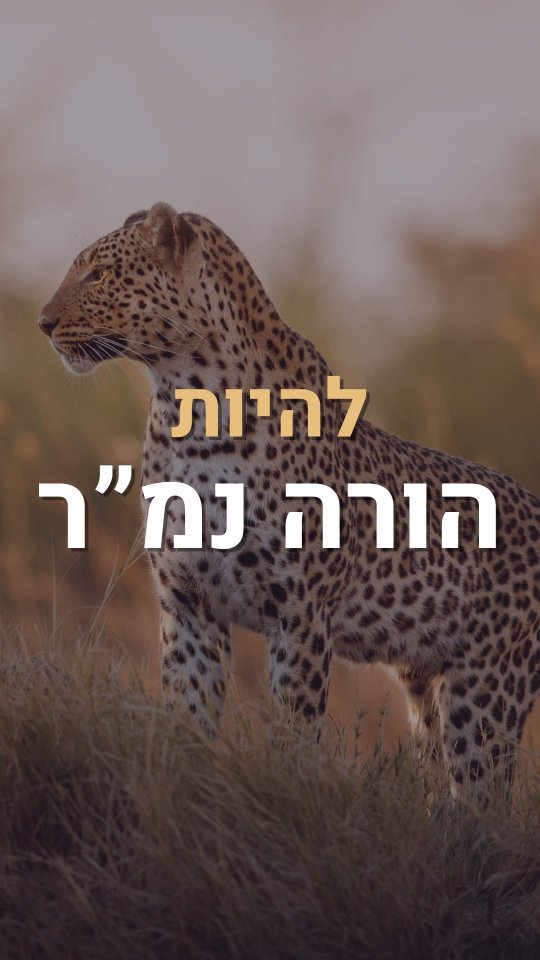 תהיו הורים, תהיו נמרים
#הדרכתהוריםלילדים #הדרכתהורים #הדרכתהוריםלגילהרך #יעוץשינהלתינוקות #יעוץשינה #מדריכתהורים #יועצתשינה #יועצתגמילהמחיתולים #גמילהמחיתולים