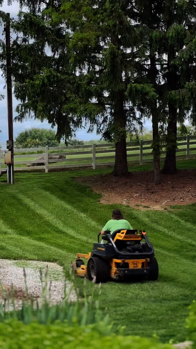 Peaceful mornings start with a fresh cut 🌿
#stripelife #stripenation #lawncare #lawncarelife #mowers #lawncarenation #zeroturn #zeroturnmowers #landscaper #landscapes #mower #lawncarenut #hustlerlawnmower #hustler #landscape #landscapingcontractor #landscapeprofessionals #landscapephotography