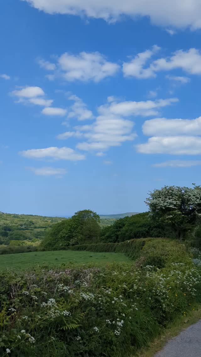 The Clydach valley in May ❤️ with Carningli and the Gwaun valley beyond. Nowhere better. Come and stay...link in bio x
#tycanolwoods #carningli #northpembrokeshire #tinyhouseholiday