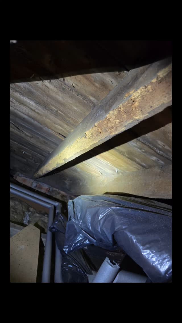 WOODWORM SEASON IS HERE – ARE YOU PROTECTED?
We’re bang smack in the middle of woodworm flight season, and now’s the perfect time to act.
At JDN Property Services, we can accurately identify the beetle species, determine if the infestation is active, and recommend the right remedy for your property.
Whether it’s a small home, a church, or a large commercial building, our expert surveyors cover everything – from underfloor voids to roof spaces.
Signs to look out for:
Small round exit holes in timber
Fine, powdery dust (frass) around holes
Crumbly edges to beams, joists or floorboards
Weak or damaged timber
Sightings of adult beetles, especially near windows
Why choose us?
Comprehensive surveys across all property types
30-year guarantee on all our treatments
Fast, friendly and reliable service
Don’t leave it to chance – protect your property today!
Call us on 01698 609001
Email: info@jdnpropertyservices.co.uk
Visit: www.jdnpropertyservices.co.uk
#Woodworm #WoodwormTreatment #PropertySurvey #DampAndTimberExperts #RoofVoidInspection #UnderfloorInspection #PropertyCare #BuildingPreservation #WoodwormSeason #JDNPropertyServices #StructuralProtection #SurveyAndProtect