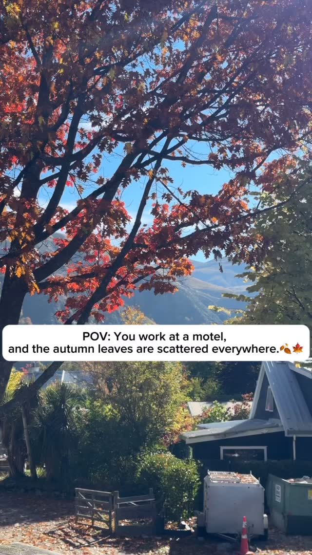 I thought I finished raking…the leaves said otherwise🤦♀️🍂#arrowtownmotelapartments #lovenewzealand #lovenz #autumn #autumnleaves🍁