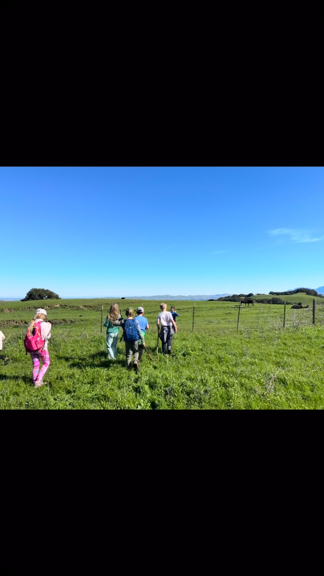 Such a beautiful day for a hike! We could see all the way out to the snow capped Sierras! 🤯 Stunning every step of the way. #californianewts #outdooreducation #briones #breathtakingbayviews