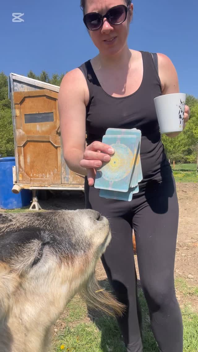 Ody was being the sweetest suck for todays card pull.
There is still space to join us for the transformative Breathwork Journey happening at @powerupenergylounge.ca tomorrow night! Message to get your last minute spot!