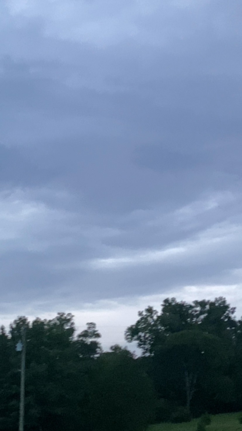 Anybody see that bat at the end of the video? 🦇 I’d say this is paradise… except for the bats. 🥺 @blazerfarm #blazerfarm