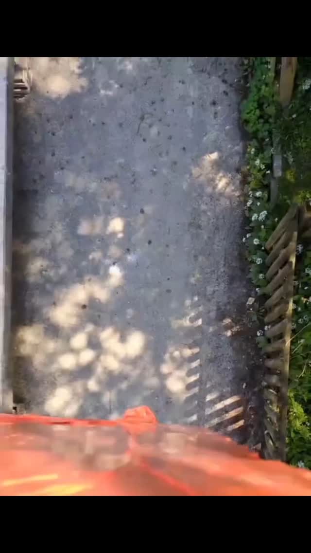 Ziegel im Anflug.....
Tag 4
Keller ist ausgeschaltet🏠
Jetzt werden die Zwischenwände 🏗️ gemauert....
Vogelperspektive zeigt unsere fleißige Truppe 🤠 🤠 🤠🤠 beim mauern....