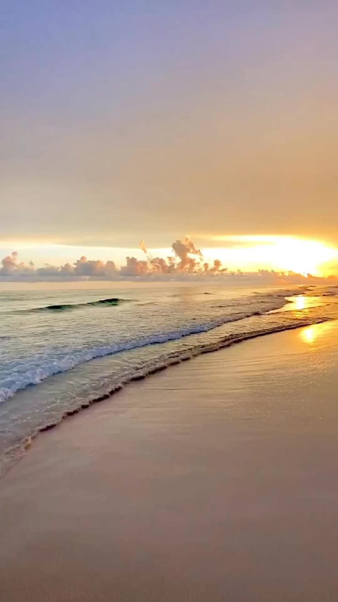 Wisdom from one of the books I’m reading this month. ‘The Buddha in me, the Buddha in you’ by David Hare. It’s a lovely read & full of inspiration.