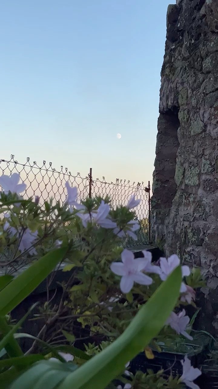 Moon gazing 💜 Connects you with the natural world and provides feelings of awe! (and who doesn’t love that feeling?!)
#airbnbportugal #airbnbhost #airbnb #bookingcom #holidayhome #visitportugal #visitporto #visitpovoadevarzim #natureliving #moinhouse #moinhohouse