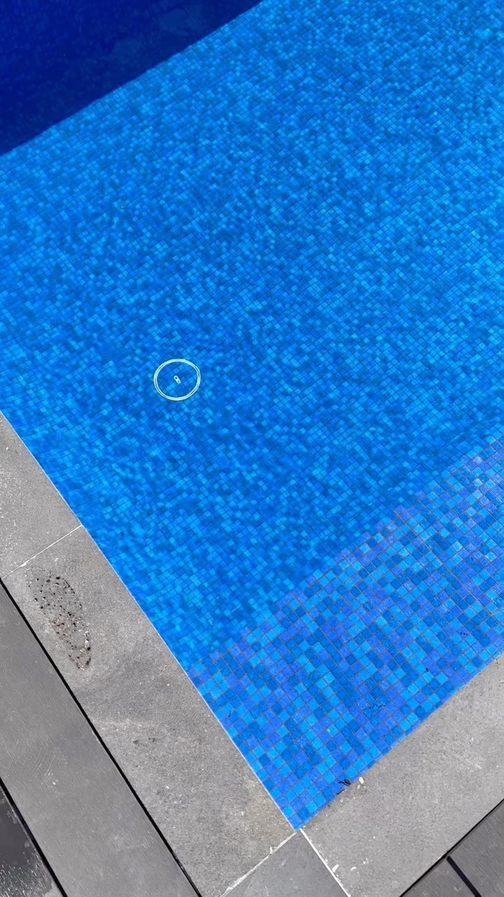 Blue, bold and beautiful 👏💙
From our Croydon project 📍
@trend.groupaus @paversplus
#plungepool #plungepoolsplus #pools