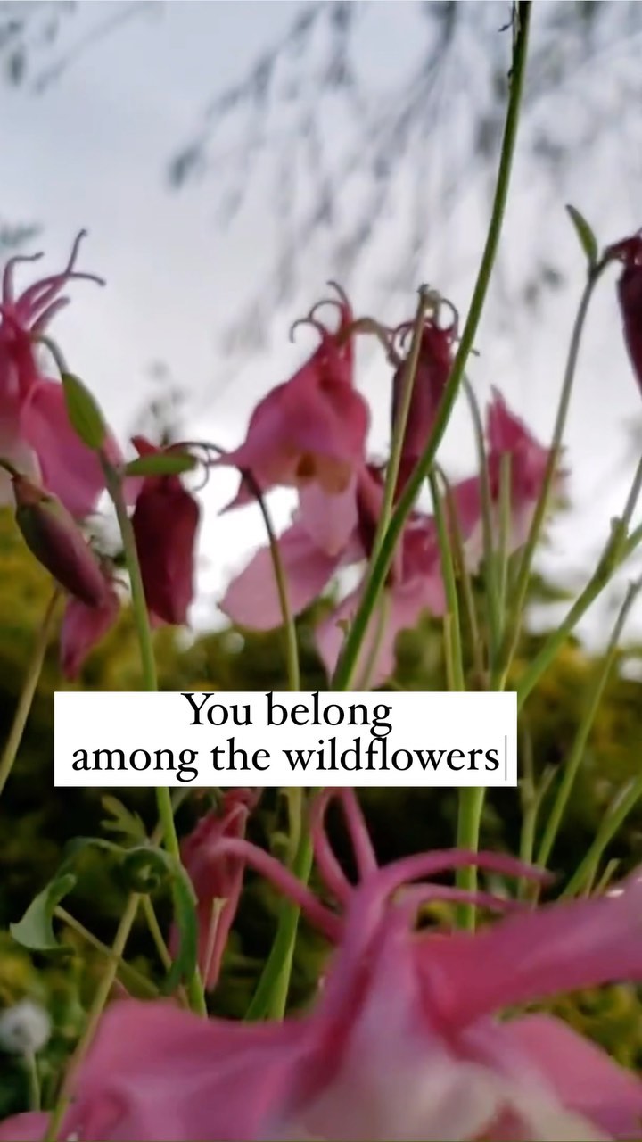 New exclusive demo up on my Patreon 🌼
Free t-shirt for all new patrons thru March! 👕
Even at $1/month 🪙
Link in bio 🫶
#patreon #tompetty #wildflowers #spring #freetshirt