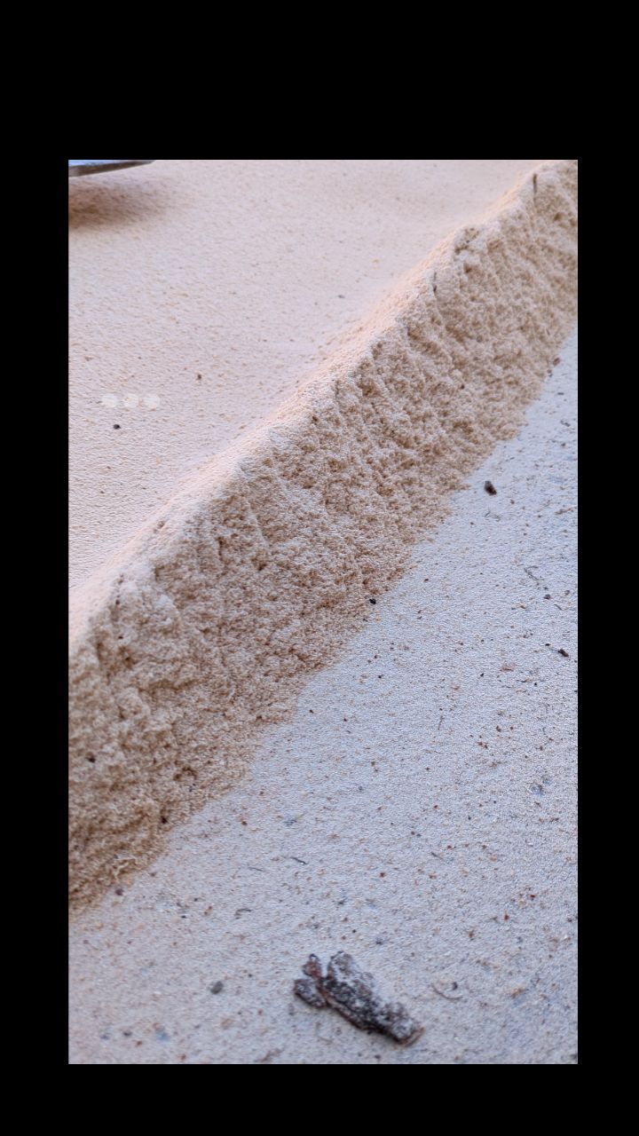 Pure Denver Silver Maple.
.
.
.
#milling #Maple #pure #sawdust #pile #recycled #qotsa #whatimdoingwithmylife