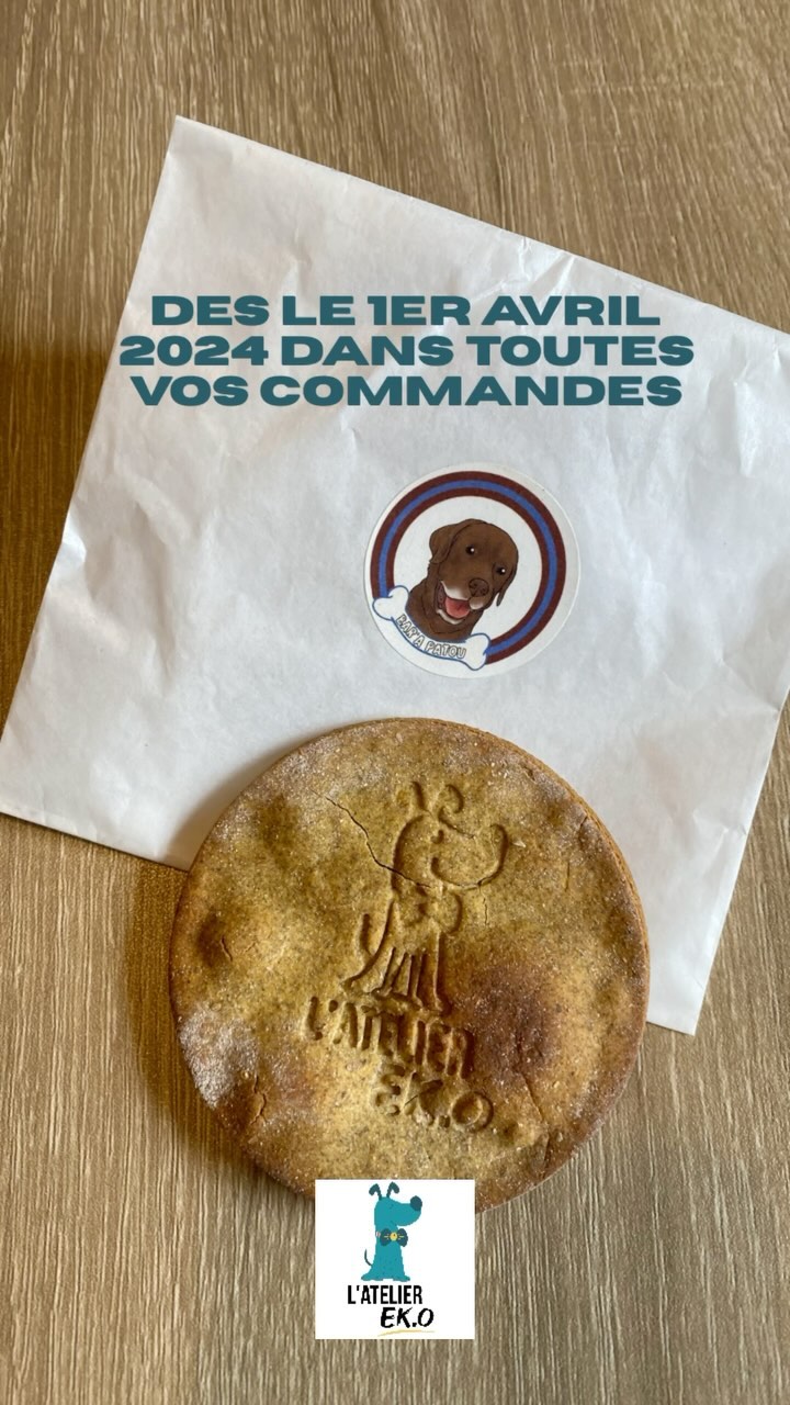 Nouveauté! Dès le 1er Avril 2024 l’atelier Ek.o vous offre, dans toutes vos commandes un biscuit de la boulangerie bio pour chiens Bar à Patou 🫶
Et si vous ne connaissez pas encore je vous invite à découvrir et à passer votre 1ere commande en vous offrant 10% avec le code LATELIEREKO10