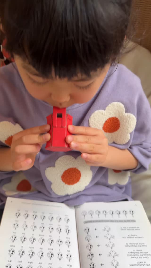 小学生の英語教育 このくらいでいいのではないか、と感じます。演奏して、歌って、卒業までに20曲ぐらい英語で歌える。「歌える」ためには、イントネーションやアクセントをリズムに合わせる必要があるので、自然と発音の基礎が身につきます。逆に英語を何十年も勉強して、一曲も英語で歌えないって、少し寂しいような気がします。歌から文化や歴史を調べ、学びを深める。オカリナで英語教育、面白いと思うのですが、、、
#オカリナ #オカリナ演奏 #楽器遊び
#小学校英語 #小学校えいご
#おうち英語 #児童英語