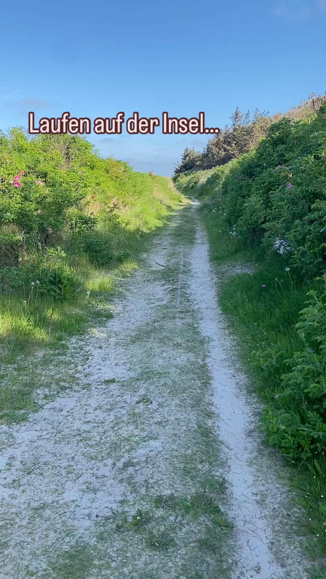 Heute morgen am Inselstrand… Laufen tut mir unglaublich gut, die Bewegung, die Natur, die Helligkeit, die Ruhe… Was tut dir gut?
#coaching #coachinginhamburg #coachingrosengarten #zielesetzen #zieleerreichen #zieleverfolgen #sinndeslebens #sinnfinden #burnout #achtsamkeitleben #achtsamkeitlernen #glücklichsein #rausausdemhamsterrad #rausausdemburnout #uniqam.coaching