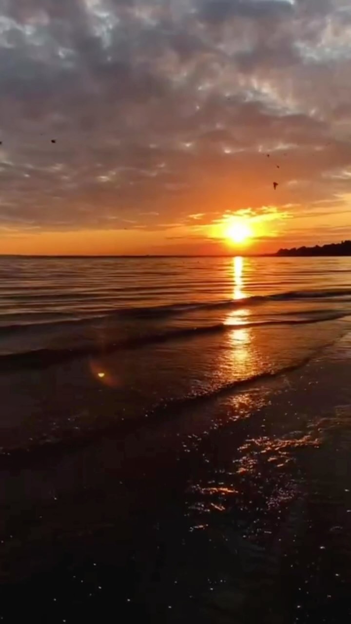 O que é amar pra você?
#elizamacielpsicanalise #astrologiapsicologica #psicanaliseclinica #psicanalista #lacan