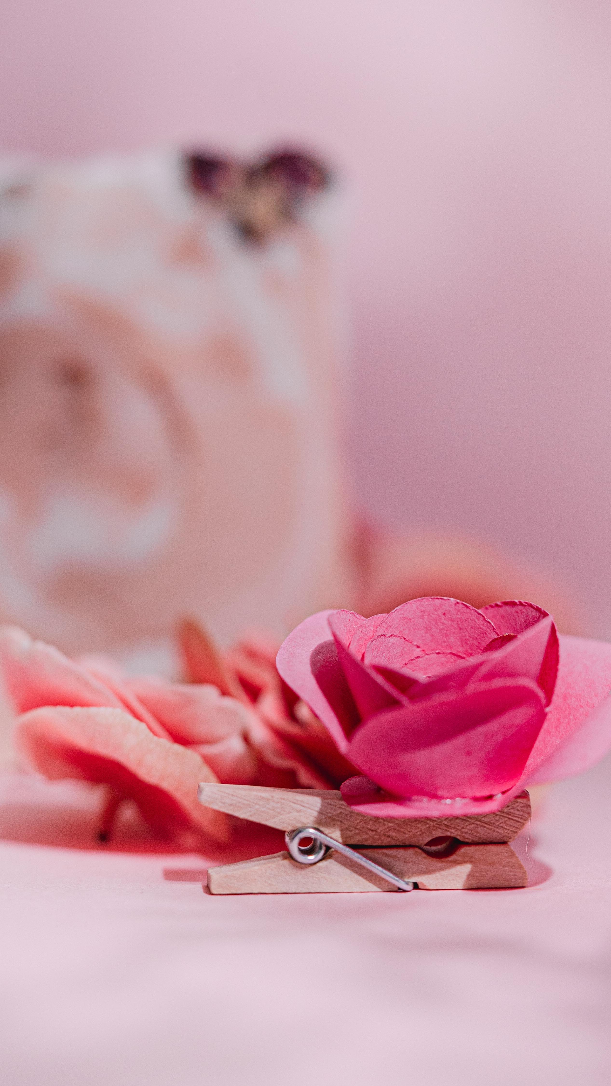 Crea la tua box 🌺🌸🧼
.
.
.
#fiore #saponefiorito #mothersday #oliviasoaps #saponesolido #soaplovers #boxdisaponi #regaliprofumati #saponeinregola #regalisostenibili #idearegalo #fvg