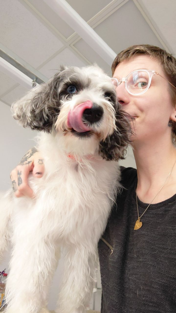 I love every client but sometimes I have luck and they love me back 🥲❤️
#doggrooming #doggroomer #happydoggroomer #doggram #dogfriends #dogglowup #doggo #hundefrisör #hundefriseur #hundeliebe #hundefreunde #hundeglück #bestjobever