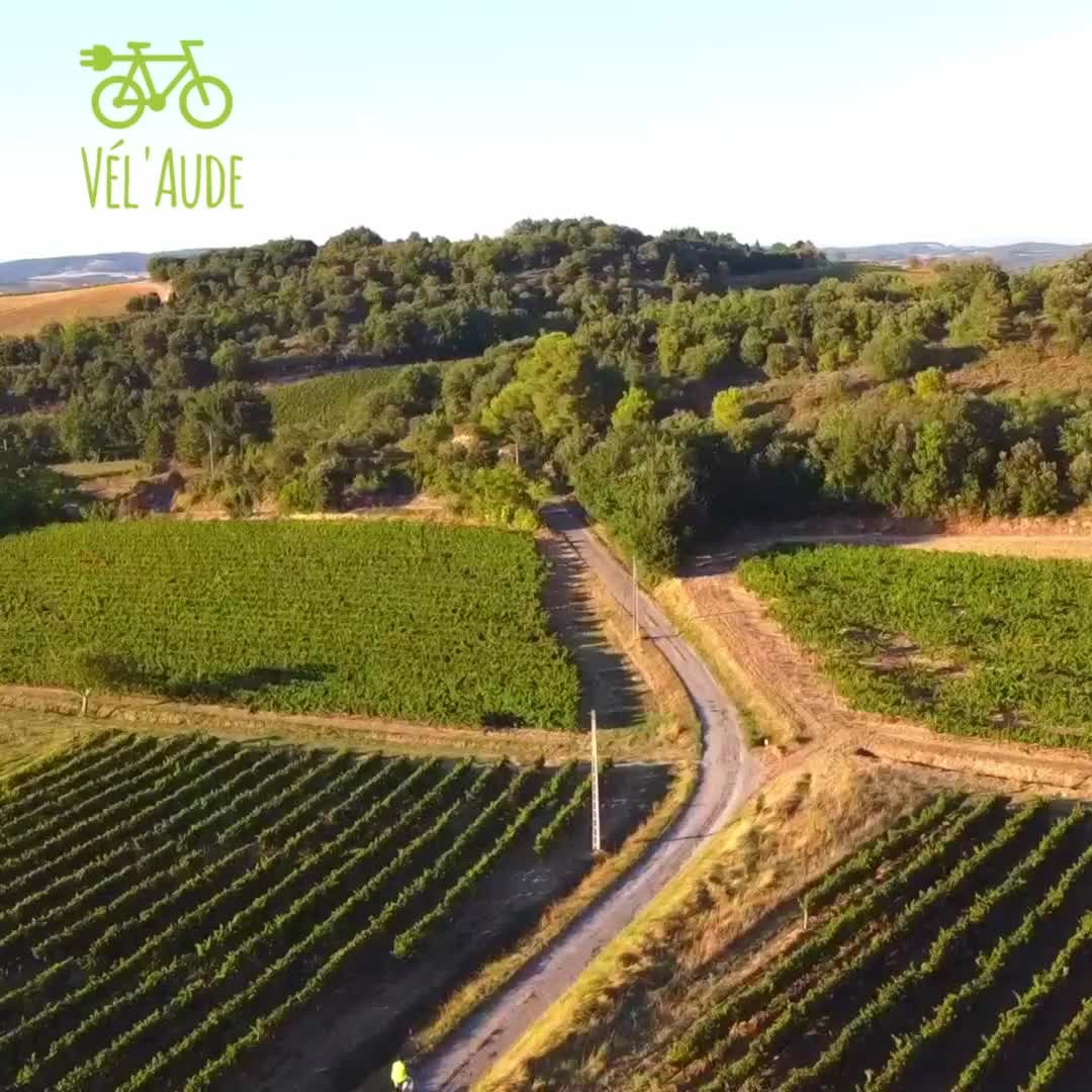 🚲Three reasons to rent an e-bike with Vél'Aude! ✨ / 🚲Drie redenen om een e-bike te huren bij Vél'Aude! ✨ / 🚲Trois raisons de louer un vélo électrique avec Vél'Aude ! ✨
🇬🇧 1️⃣ Effortless Exploration: Say goodbye to strenuous pedaling and hello to effortless adventures! 2️⃣ Eco-Friendly Adventure: Embrace sustainable travel and reduce your carbon footprint! 3️⃣ Accessible for All: E-bikes are for everyone! Whether you're a seasoned cyclist or new to biking.
Want to know more? #linkinbio
🇳🇱 1️⃣ Moeiteloos op avontuur: Zeg vaarwel tegen het inspannende trappen en hallo tegen moeiteloze avonturen! 2️⃣ Milieuvriendelijk: Omarm duurzaam reizen en verminder je ecologische voetafdruk! 3️⃣ Toegankelijk voor iedereen: E-bikes zijn voor iedereen! Of je nu een doorgewinterde fietser bent of niet!
Meer weten? #linkinbio
🇫🇷 1️⃣ Exploration sans effort : Dites adieu au pédalage épuisant et bonjour aux aventures sans effort ! 2️⃣ Aventure écologique : Adoptez le voyage durable et réduisez votre empreinte carbone ! 3️⃣ Accessible à tous : Les vélos électriques s'adressent à tout le monde ! Que vous soyez un cycliste chevronné ou un novice en la matière.
Vous voulez en savoir plus ? #linkinbio
#aude #audetourisme #ebike #VAE #ebikerental #ebikeadventures #ecofriendly
