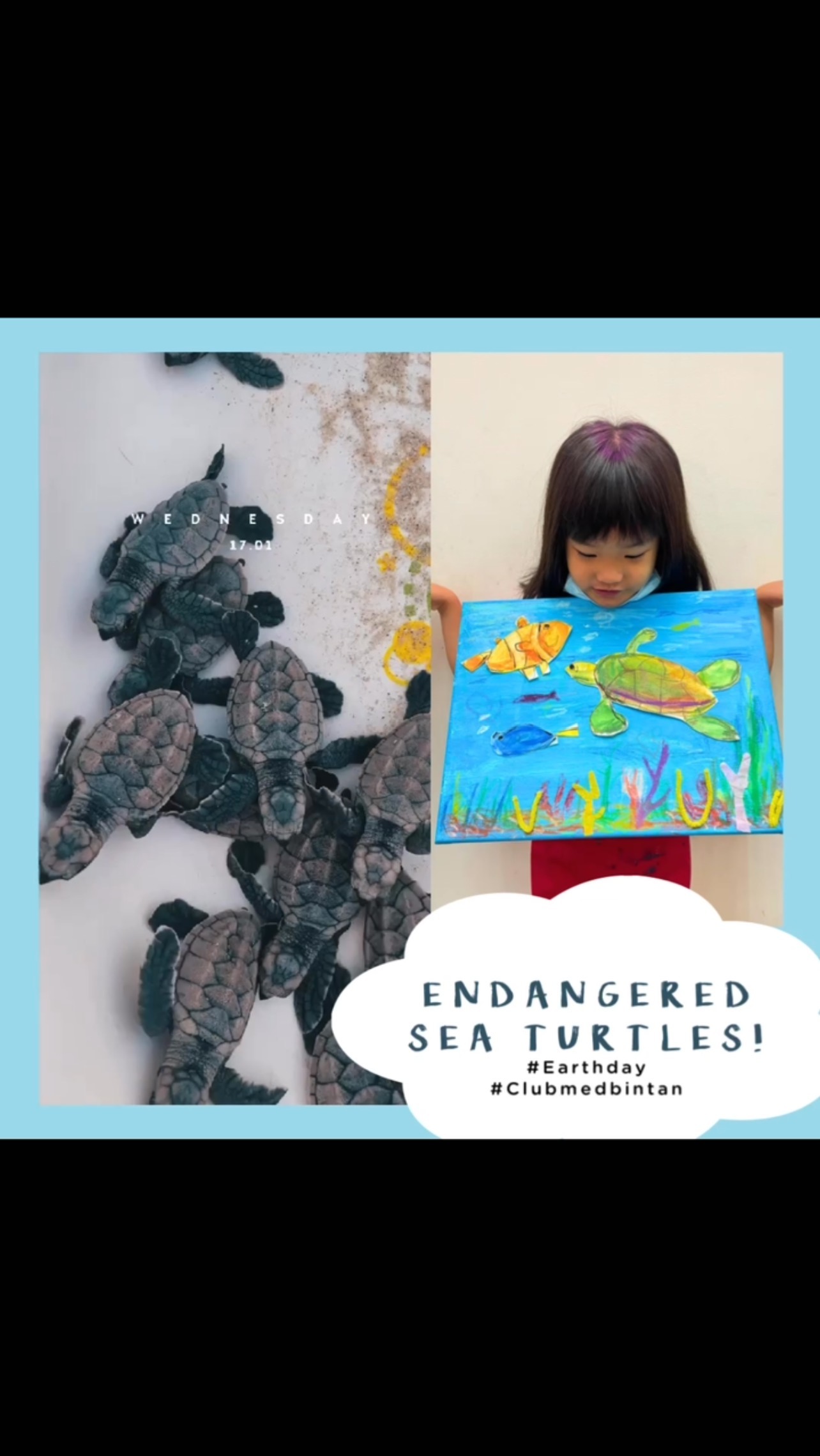 While we were at Club Med Bintan, we were very fortunate to have witnessed the release of endangered sea turtles by #clubmedbintan!
It’s a timely season as our students at #artwonderlandsg have been working on their earth-day project. Using various art mediums, our students depict the struggle of their chosen sea creatures through the perils of pollution.
Watching the release of the sea turtles, really helps cement why such art projects are relevant and good conversation points for children to understand the effects of sea pollution.
#clubmedbintan #artwonderlandsg #seaturtle #releaseofseaturtles #sgartclass #kidsartclass #childrenart #artstudiosg #sgparents #artinspiredbynature #earthday #importantconversations #oceanpollution #seapollution