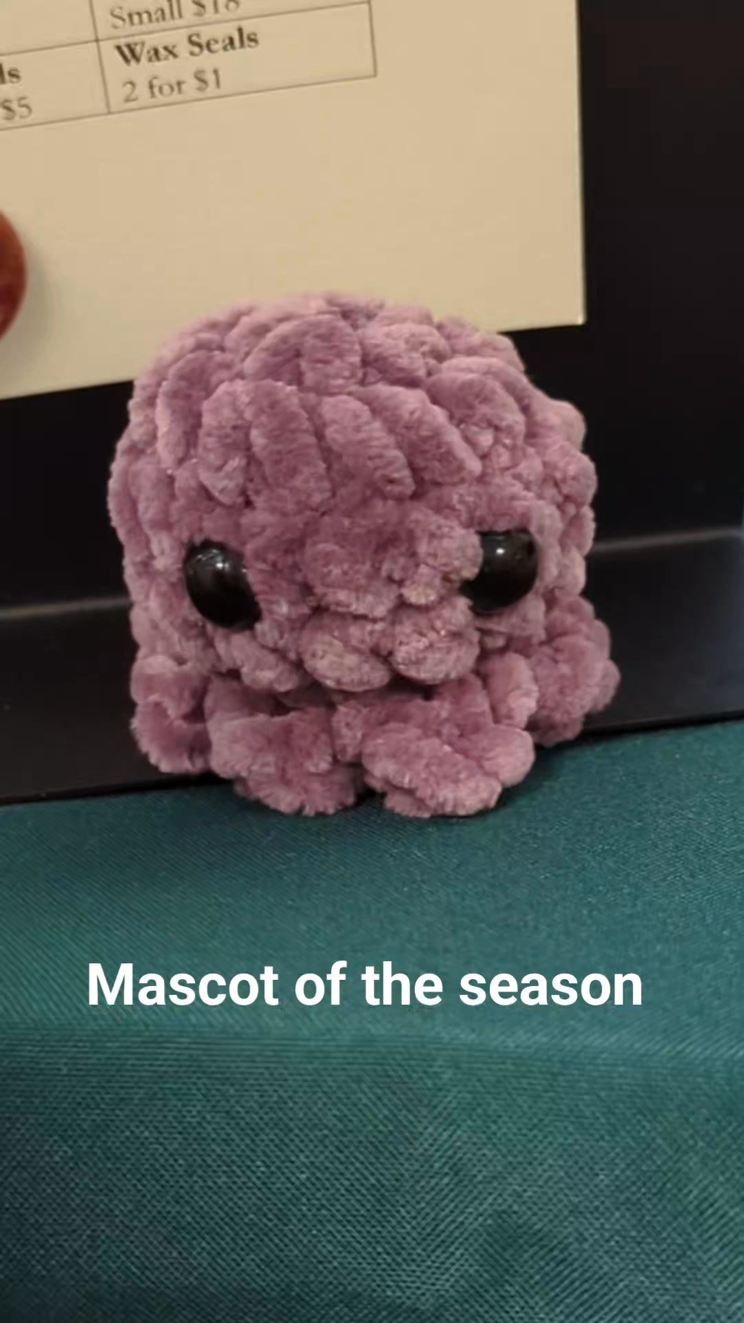 Mascot of the season!
Every year at the first craft fair of the season I pick a mascot from a local student's crocheted critters booth.
#craftfairseason #smallbusiness