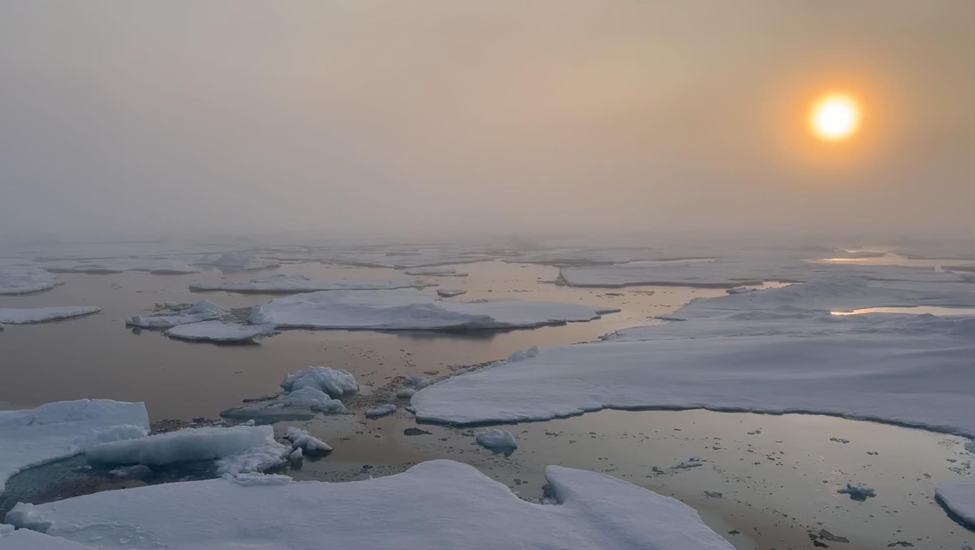 Sunsetting amongst the fog and ice in East Greenland #arctic #greenland #fog #ice #landscape #landscapephotography
