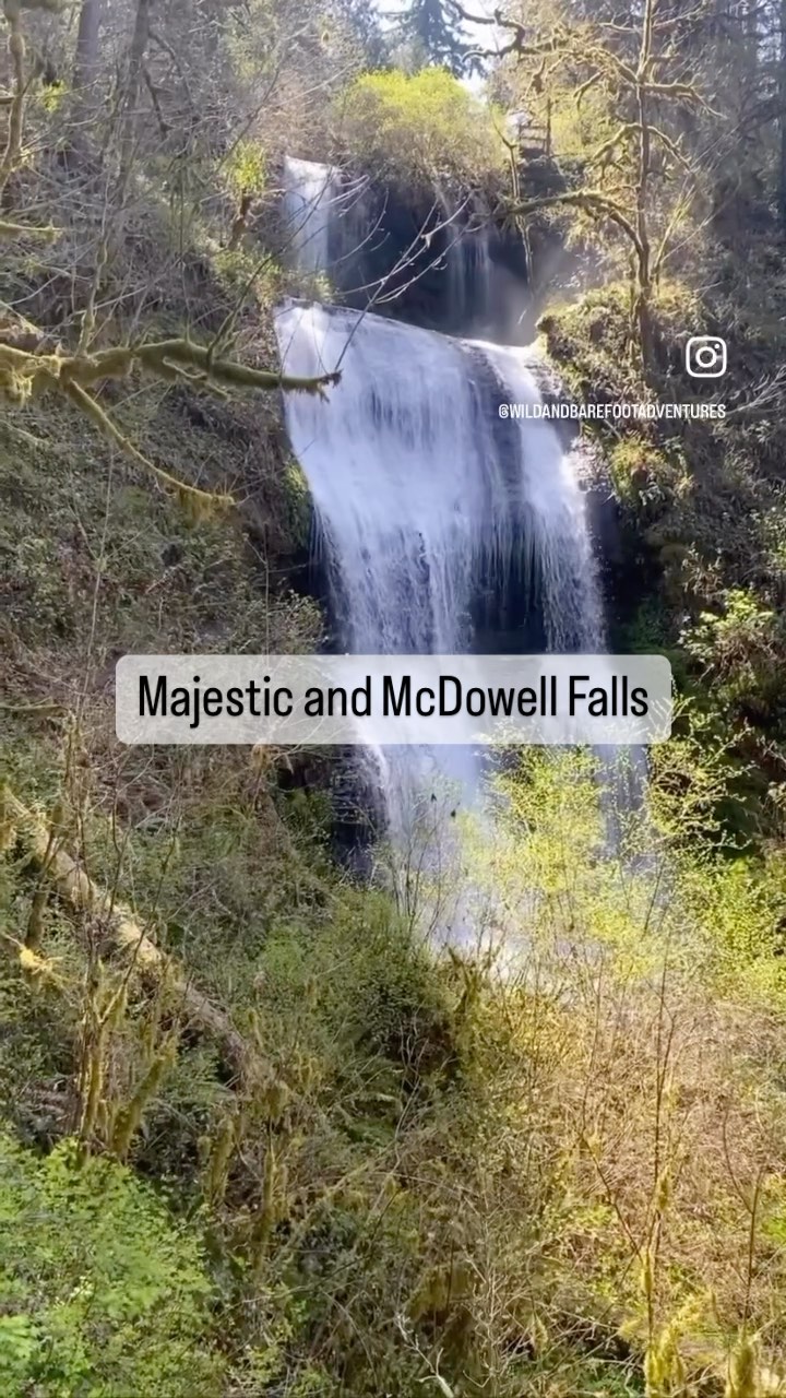 📍 Majestic and McDowell Falls
Learning Topics: waterfalls, wildflowers
Risks: some drop offs depending on hike extensions, fast moving water
Description: These are two underrated and beautiful waterfalls near Lebanon. There are three parking areas that can make your hikes really short. If you want a challenge, there is a more challenging loop that goes through the forest.
Check out www.wildandbarefootadventures.com is the full write up with details for this adventure and for linked nature studies.
#wildandbarefootadventures #waterfalls #hikemore #oregoncoast #timeinnature #waterfallhike #exploreoregon #waterfalls #wildflowers #adventure #hikeoregonwithkids #oregonexplored #familyfriendlyadventures #getoutside #wildkids #freekids #adventurefamily #adventurelifestyle #outdoorclassroom #placebasedlearning