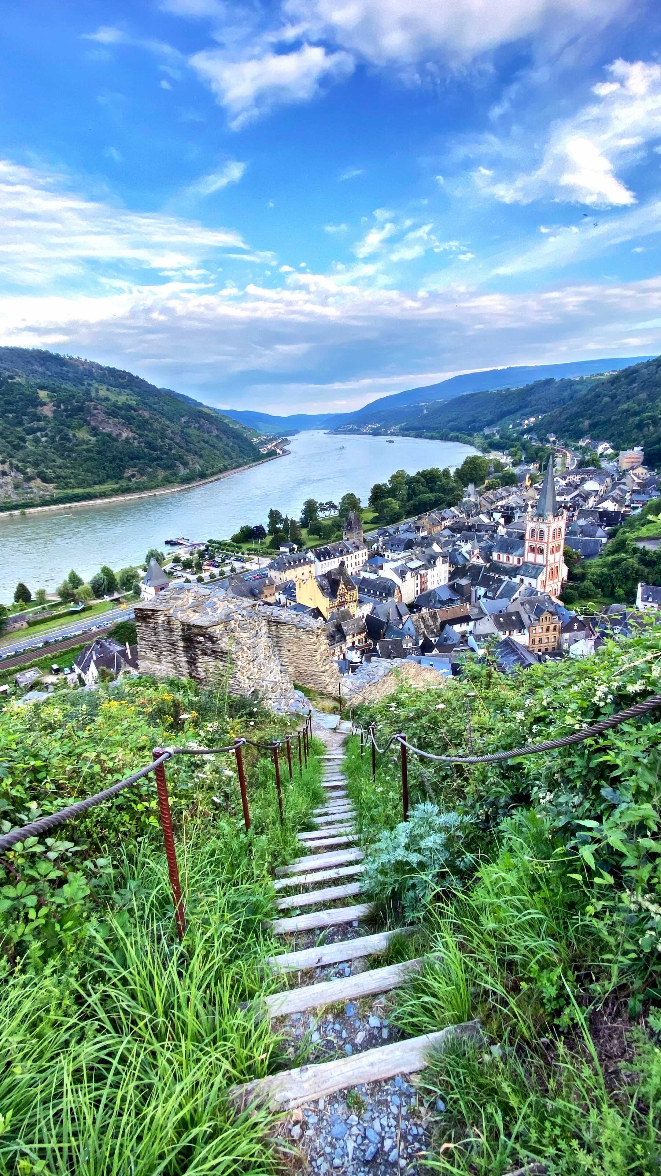 Check out these grape views over Bacharach in the Mittel Rhein valley.
#winetravel #winetours #grapeviews #views #ontour #germany #rhein #travel #grapeescapes #riesling