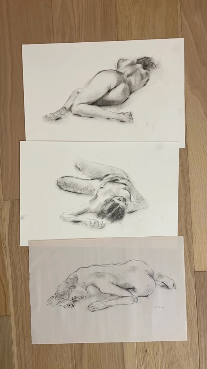 All my sketches from last night’s Life Drawing session at the Petaluma Art Center with Nina modeling. Not my best work, but so good to be back at it.
@petaluma.arts.center #lifedrawing