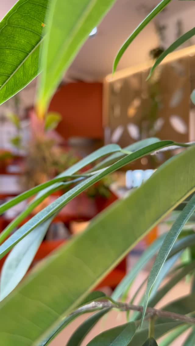 Another talk full of insightful science, at the @heden_workspaces #the_explorers_club_portugal #explorersclub #explorerspt #explorationtalk