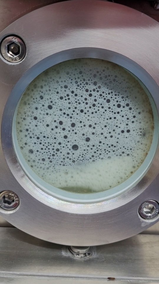 We teamed up with our family at @babycatbrewery to brew a variation of styles bringing two of our most popular beers together in a glass! #HypedHaze is an American Wheat ale brewed with dried Hibiscus Flowers 🍻🌸🍻 *Limited Draft Release in June*