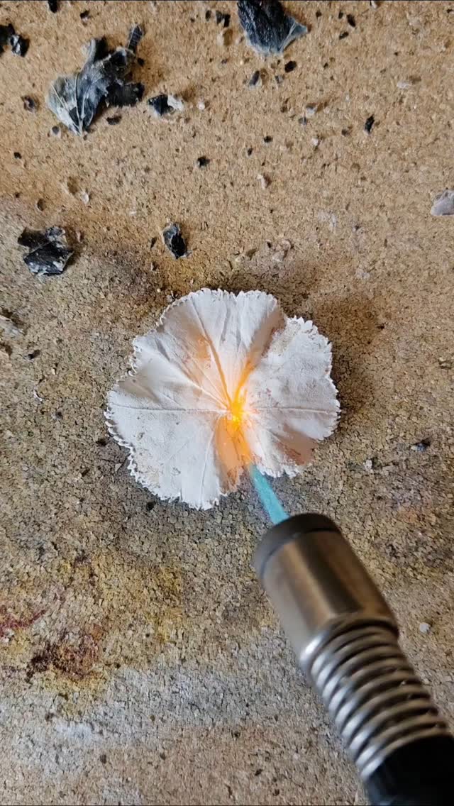I have 15 silver leaves (and some earrings!) currently made
That's a good size collection right?
Because I'll be launching them soon 🌿
But can you guess what this leaf is? I've noticed it's quite abundant around me and I just love the shape of it! 🥰
First person to guess correctly will get a code for £ off when I launch them 🤫
.
.
.
.
.
.
.
#recycledsilver #sustainablefashion #sterlingsilverjewelry #silverandfernjewellery #sustainablejewellery #ecoconscious #handmadegiftsuk #ethicallymadejewelry #naturejewellery #finesilver #metalclayjewelry #metalclayartist #metalclay #artclaysilver #silverleaf #leafimprint #leafpendant #burning