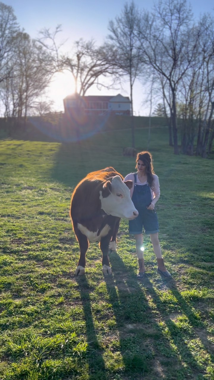Happy Easter! Church this morning with the family, then afternoon egg hunt and then hanging out with these beauties! He Is Risen!
#farmlife #family #christian #christianfarmer #lasater #lasaterhomestead #cows #babycows #babycalf #animals #farmanimals #ranchlife #inspiration #easter #jesus #heisrisen