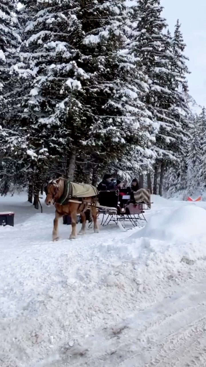 Our guests love it. Lunch break at the Clos Bernard. Mixing a fun activity with a wonderful meal