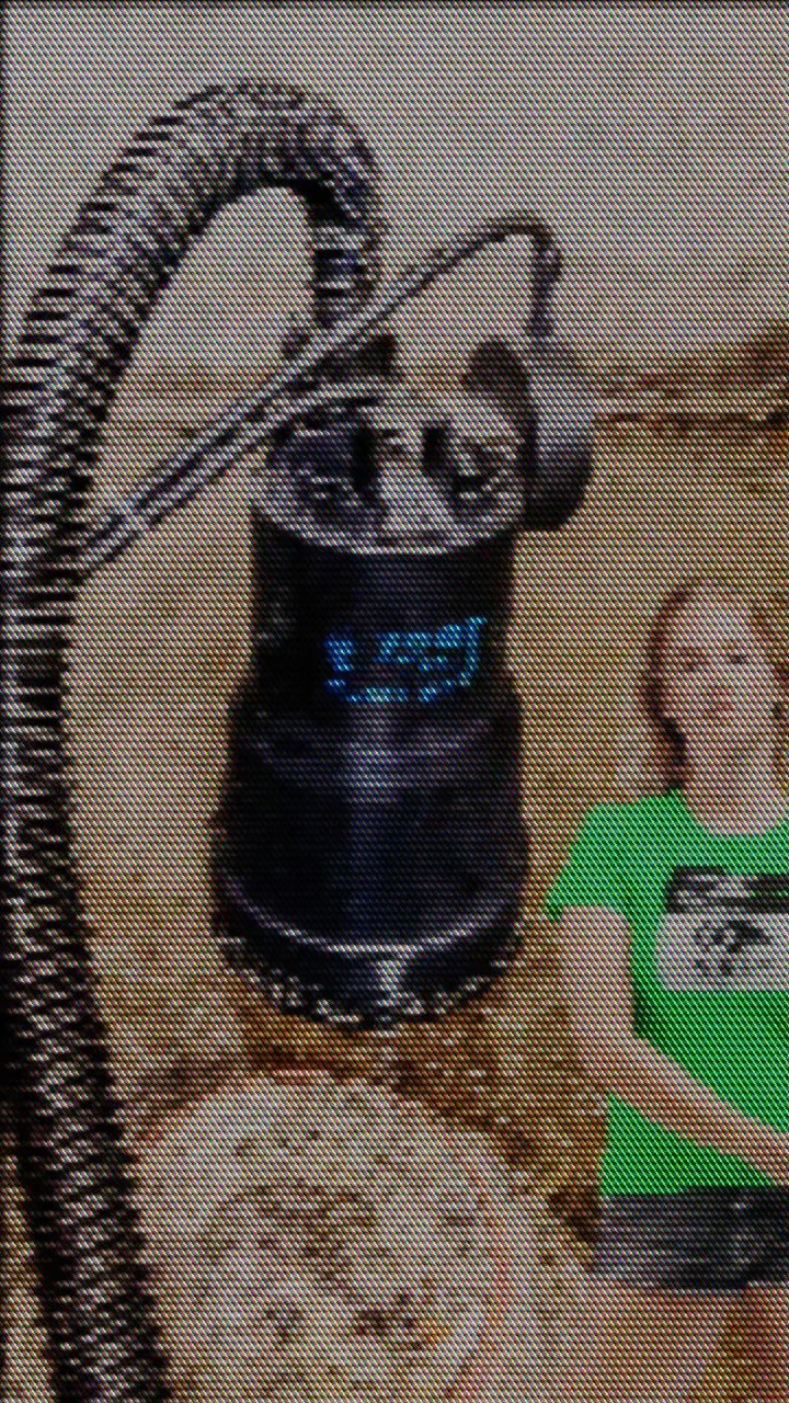 FLACHSAUGSET HQ 5.5 - mit der automatischen Niveauregulierung. Einfach und sehr effektiv!
Das Flachsaugset hat Vorteile gegenüber Nass-Saugern:
Das Medium wird direkt weg gepumpt und muss nicht aus einem Behälter entleert werden.
Mit dem Flachsaugset kann nahezu alles restlos abgesaugt werden – fast wischtrocken.
Die Pumpe hat eine Förderhöhe von bis zu 7,0 Meter und eine Pumpleistung von 5'500 Litern pro Stunde.
.
Klein aber oho 😁.
.
#flachsauger #flutset #gewitter #starkregen #extremwetter #tools #tauchpumpe #hochwasser #überschwemmung #kellerunterwasser #dry #water #flood #feuerwehr #pompier #pompieri #firefighter #herzogenbuchsee #schweiz #genius