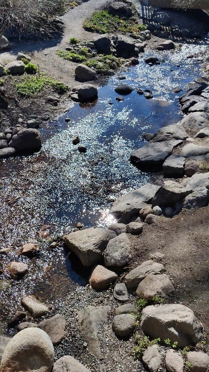 🪐💕🤌🏻 "Ole luontosi tänään rakas Universumin ihmisarkkitehti. "
Usein ajattelemme olevamme luonnossa, sen sijaan että olisimme luonto itse. Mitä jos tämä olisi se päivä, että...
💧 Virtaat tänään
🌱 Kasvat tänään
☀️ Säkenöit tänään
🌀 Ilmaiset tänään
Ole ne kaikki elementit ja niiden voima mitä luonto heijastaa jatkuvasti. Kuule, koe ja näe miten luonto vain on... Luontonsa. 🙏🏻💕
#energia #intuitio #omaluomisvoima #universumi
#sydäntietoisuudenevoluutio #tietoisuus
#tietämineneioletekemistä #tietoisenaeläminen #universuminihmisarkkitehti #galaktinenviisaus
#mijamafinland