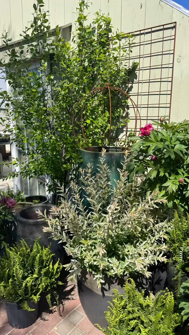 The best Mother's Day @thefarmersdaughter_ri