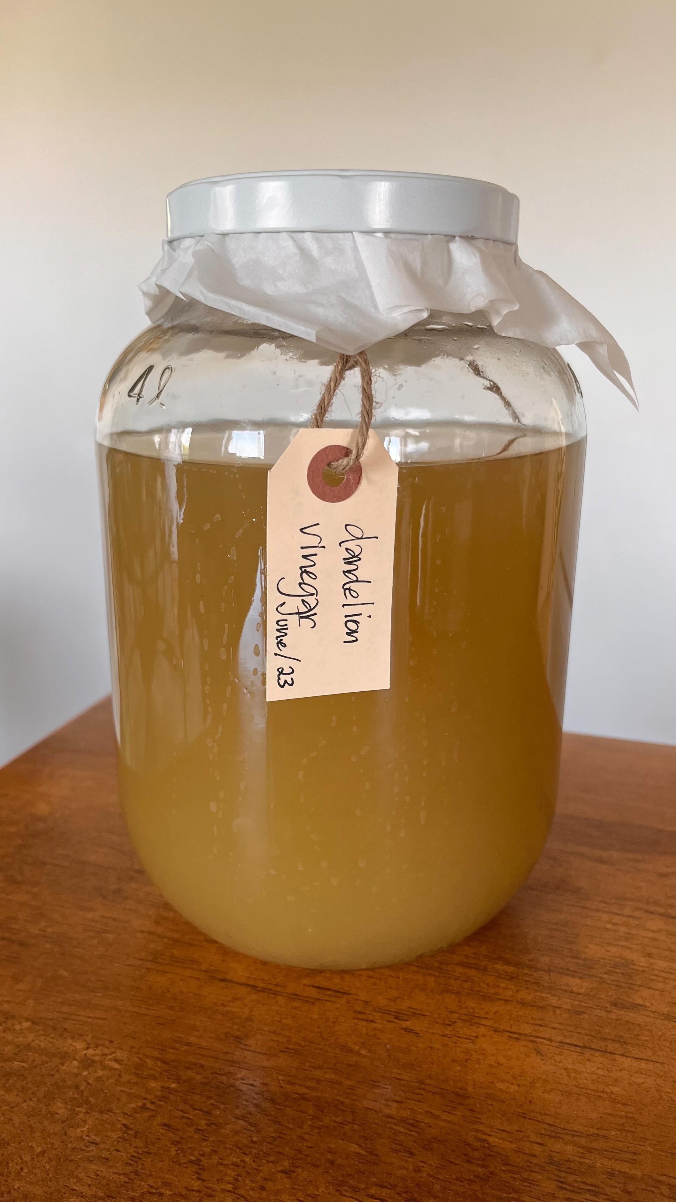 The homemade dandelion vinegar is finally done fermenting! This wild vinegar was stirred twice daily for a couple of weeks, double strained, and now will head down to the cellar to age. We add a glug of our homemade vinegars to poached eggs, bone broths, and to jugs of switchel, to name a few. So easy to make and good for ya, too! Anyone else already busy in their kitchen?
Hope you have a happy Monday, friends ✨
#farm #farmlife #farmtwo53vinegar #homemadevinegar #wildvinegar #fermented #dandelion #dandelionvinegar #culinary #dandelions #homesteading #homesteadinglife #homestead