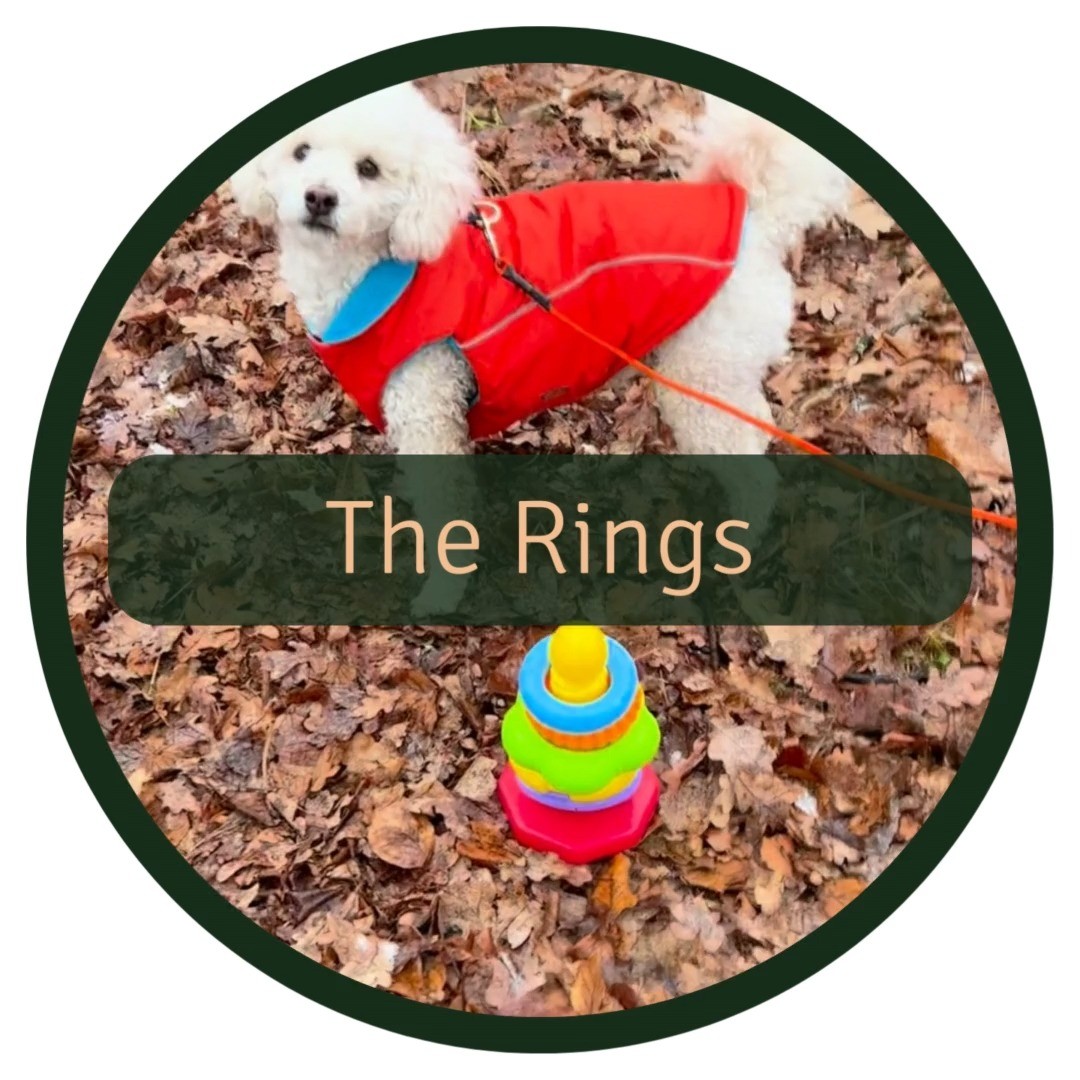 🎉 Here’s a fun activity that works just as well outside as inside by only using a “rock-a-stack” toy.
It’s easy to increase the difficulty as your dog gets better at it. As an example, we are currently working hard on being able to stack the rings on the tower without help from humans, it’s easier said than done 😅 Suggestions are welcome 🙏
⚠️ N.B. Make sure the dog doesn't chew on the rings and swallows pieces of plastic!
There are quite a few step to teaching your dog this (search, take it, retrieve, drop it), but your dog will get a lot of great mental activation during the learning process 😍 Make sure your start training in a familiar setting when your dog is in a calm state of mind. Think about teaching this in baby steps!
Here’s one way of teaching your dog how to TAKE IT, RETRIEVE and DROP a ring:
1️⃣ Start with one ring
2️⃣ When your dog touches the ring, use your reward signal (such as a clicker or short signal like ”yes”) and reward
3️⃣ Increase your dog’s required interaction (baby steps) with the ring before getting the reward
4️⃣ When your dog picks it up and holds it in their mouth, reward and give a lot of praise
5️⃣ When you’ve shaped the behaviour, add a signal WHEN the dog is picking up the item - then just BEFORE the dog picks it up
6️⃣ Place the ring further away from you, wait for the dog to pick it up and encourage your dog to come to you, use your reward signal and reward
7️⃣ When you’ve shaped the behaviour, add a signal WHEN the dog is retrieving the ring - then just BEFORE the dog is retrieving the ring
8️⃣ When your dog can retrieve the ring, exchange it for a reward and add a signal when the dog drops the ring