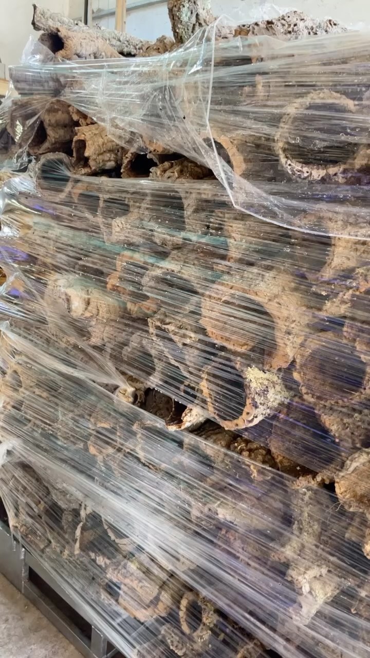 Cork Tubes 🪵
From southern Europe cork oak trees, these are fully natural, difficult to obtain as they result from years/decades of waiting for the wood inside to become rot and be able to remove from the tubes without breaking the cork.
These logs, that will later become tubes, come mostly from pruning the upper branches of the trees but they can also come from dead dry trees. Cork oak trees cannot be cut down, it’s against the law and requires special authorizations, meaning these tubes don’t cause the cutting or harming of the trees.
As I said above, it’s difficult to obtain because the cork oak tree wood can also be used for fireplaces, so when there is a dead tree, the farmer can sell it instantaneously for that or other purposes, instead of letting it rot for years or even decades.
These tubes are also more resistant than the traditional cork rounds because they are not removed with an axe cutting, they are fully intact. Also they have a thin layer of wood inside, attached to the bark. They tend to be smaller, specially in diameter. On the other hand, the wood layer means that the inside of the tube is rougher and not as smooth as the cork round.