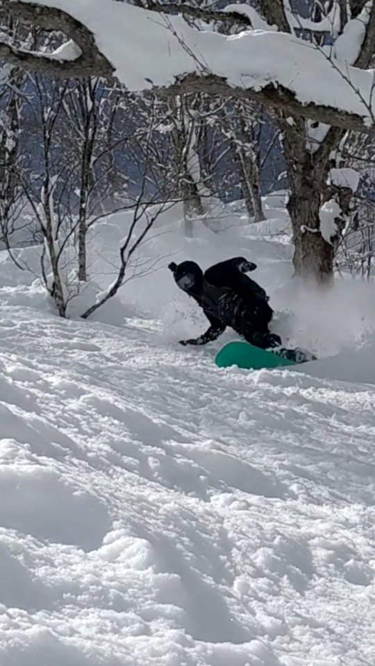 Booking in spring might be a gamble but when it pays off you get much more bang for your buck! Uncrowded and deep today, we scored fresh tracks from start to finish 🤙
Thanks for the 🎥 @overborden 🙏🙏
All bookings @gozanlodge.myoko include buffet, gourmet European breakfast, 3 course dinner and onsen pass to our neighboring naena onsen 🙏😋
Whether it's a guided day or choosing your own adventure, leverage our decade of experience riding the good stuff in the nagano/niigata region. 🤙
We will give daily briefs at breakfast and dinner on the safety conditions so you can have extra confidence in your plans ❄️🤓
Get in contact via our site http://gozanlodge.jp or via DM
.
.
#gozanlodge #myoko #suginohara #sugi #akakura #ikenotaira #snowboarding #skiing #japanbackcountry #myokokogen #japow #sekionsen #splitboarding #nozawa #madarao #lottearai # #niseko #hakuba #nozawa #杉ノ原スキー場 #妙高 #妙高高原 #雪山 #スノーボード #バックカントリー