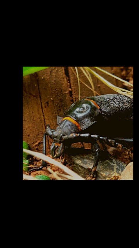 Rari has beautiful corners.
Why don't you know this place yet?
Rari y sus hermosos rincones!
¿Por qué aún no lo has visitado?