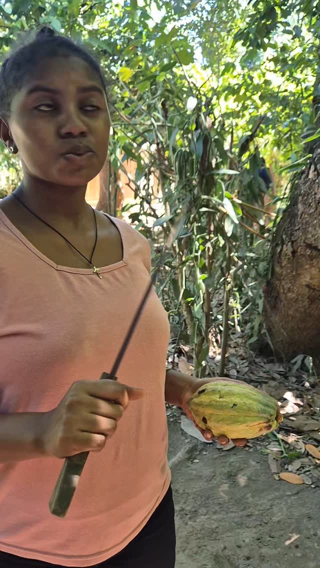 Vous connaissez ma passion pour les plantes médecines, le cacao, la sylvotherapie, les voyages,... oui, je suis multipassionnée😅🥰
J'ai fais un mini reportage sur le cacao à Madagascar et je prévois une nouvelle série de 4 cercles sacrés à la decouverte des pépites de Madagascar 🤩 aromatherapie énergétique, cacao sacré, magie des éléments! Si tu souhaites recevoir les infos, envoies moi un petit message en MP: 9 places dispos uniquement.
#Madagascar #tourismesolidaire #ethique #responsable #cacao #alchimoon