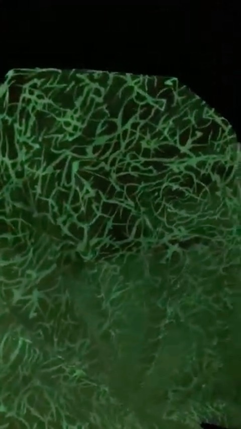 Fluorescent color digital printing on mesh💚
.
.
.
.
#oukaLondon #fluorescentpaint #fashiondesign #garmentfactory