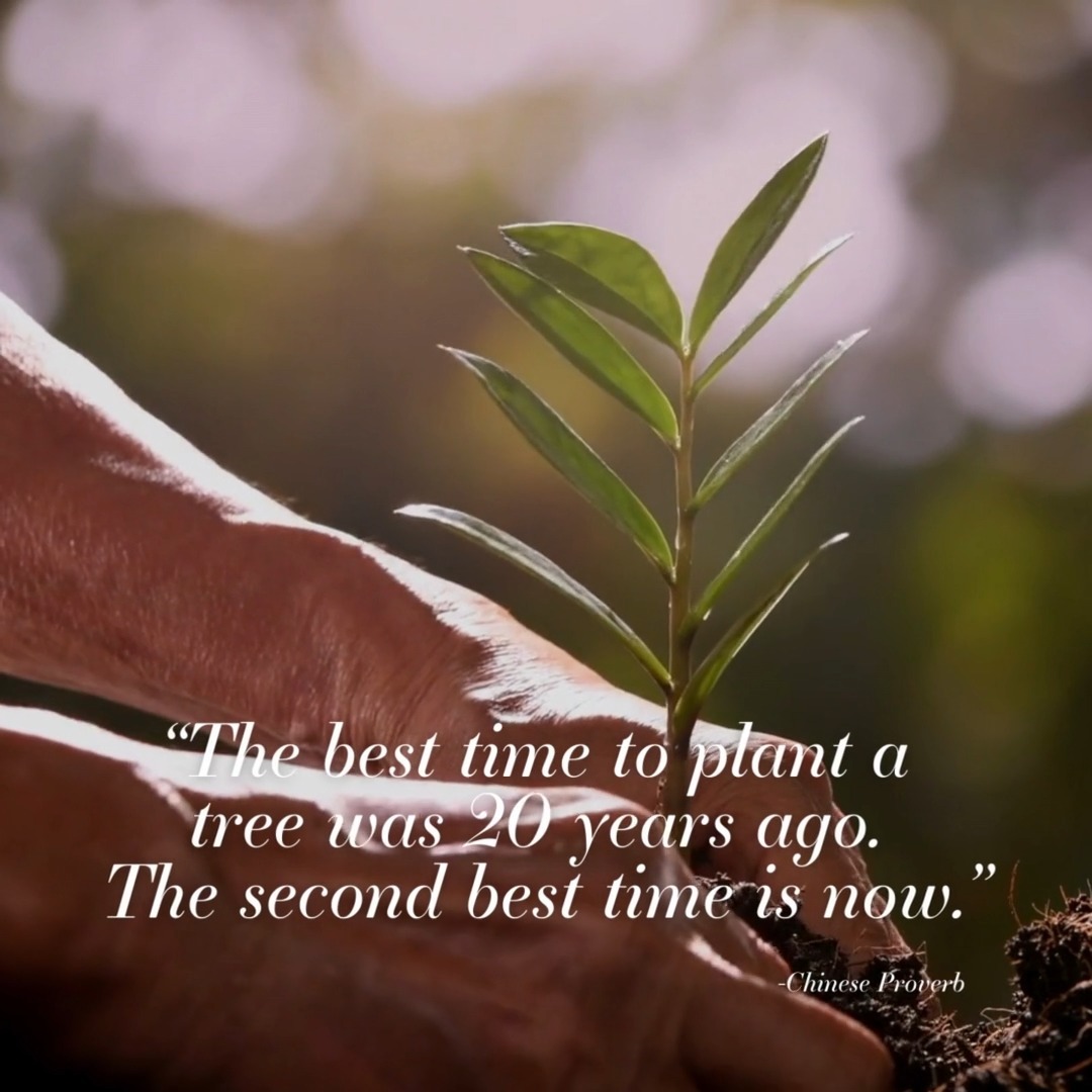 🌱 Plant the tree!🌳
We've all heard the Chinese proverb: 'The best time to plant a tree was 20 years ago, the second best time is now.' 🕰️ But let's take a moment to reflect on how it applies to entrepreneurship.
Often, we're so caught up in the day-to-day hustle that we put the strategic work for our businesses on the back burner. We delay planting those seeds of growth, thinking we'll get to them 'someday.' 🤷♂️
But here's the wake-up call: 'Someday' isn't a date on the calendar. It's a mindset that can trap your dreams in the realm of 'what if.' It's time to break free from that cycle!
Join us at our upcoming retreat on September 29 - October 1st, where we'll help you put your strategic vision front and center. 🚀 Let's turn your 'someday' into TODAY! 🌟
🌿 Together, we'll cultivate the strategies, connections, and mindset you need for sustainable success.
There are only a few spots remaining so, claim yours today!
LINK IN BIO!
