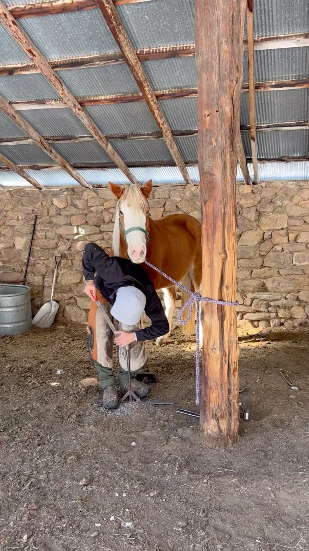 Pedicure day 💅
#macgregorranch #estespark #estesparkcolorado #coloradoranch #coloradohomestead #historichomestead #nationalregisterofhistoricplaces #ranchlife #historicsite