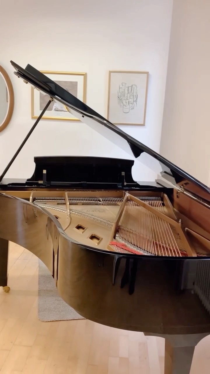 Ready for a Piano Masterclass?
#piano #masterclass #northeastofscotlandmusicschool #musicschool #aberdeen #musicstudents #music #steinwaypiano